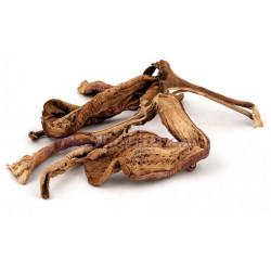 Find Your Favorite Brand