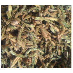 Find Your Favorite Brand