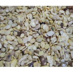 Find Your Favorite Brand